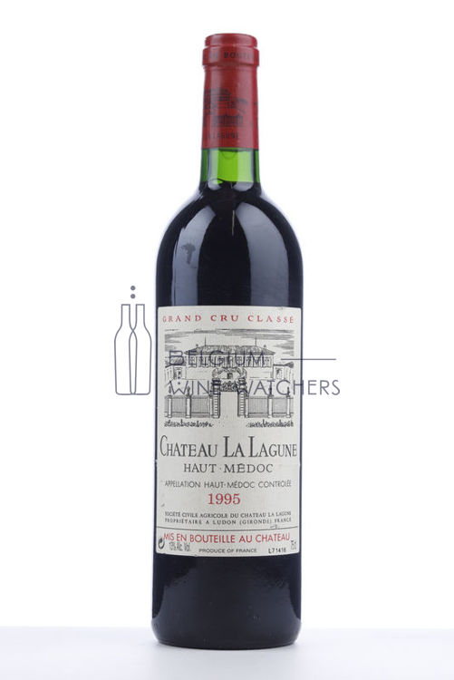 Picture of 1995 LA LAGUNE